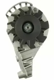 friesen-9038841