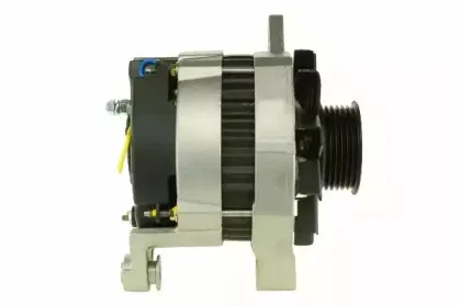 friesen-9038851