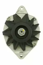 friesen-9038851