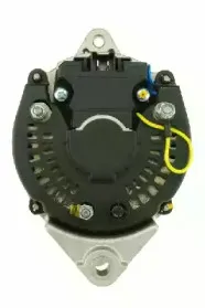 friesen-9038851