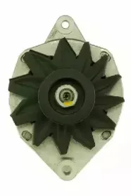 friesen-9038861