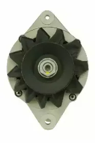 friesen-9038930