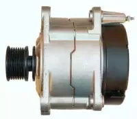 friesen-9039210
