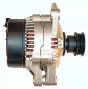 friesen-9039280