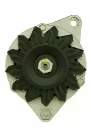 friesen-9039321