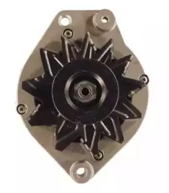 friesen-9039450