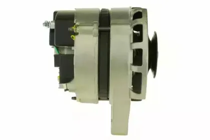 friesen-9039501