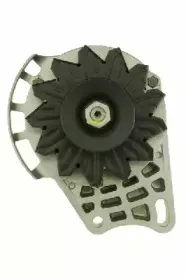 friesen-9039501