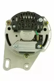 friesen-9039501