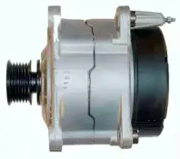friesen-9039520