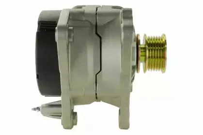 friesen-9039540