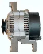 friesen-9039570