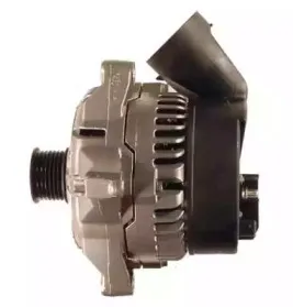 friesen-9039650