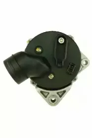 friesen-9039720