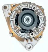 friesen-9039780