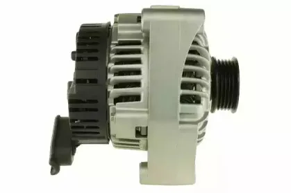 friesen-9039831