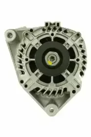friesen-9039831