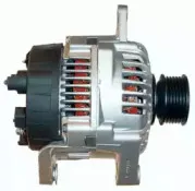 friesen-9039851