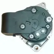 friesen-9039851