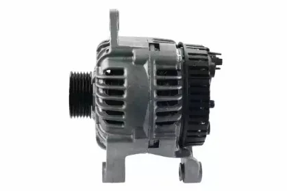 friesen-9039931