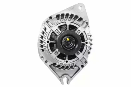 friesen-9039931