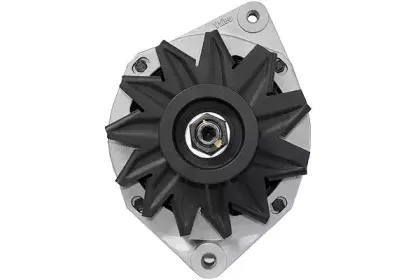 friesen-9039951