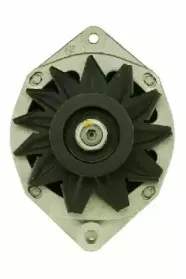 friesen-9039961