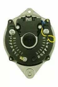 friesen-9039961