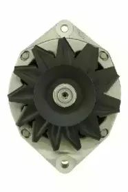 friesen-9040031