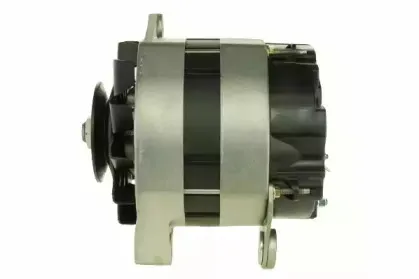 friesen-9040051