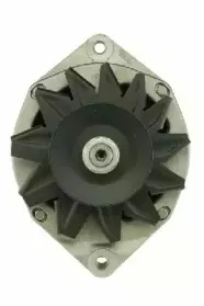 friesen-9040051