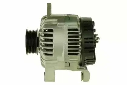 friesen-9040091