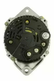 friesen-9040161