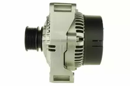 friesen-9040180