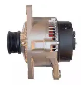 friesen-9040671
