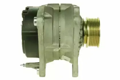 friesen-9040890