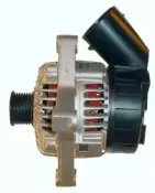 friesen-9041361