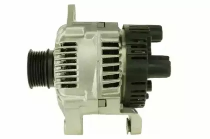 friesen-9041381