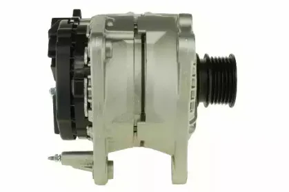 friesen-9041920
