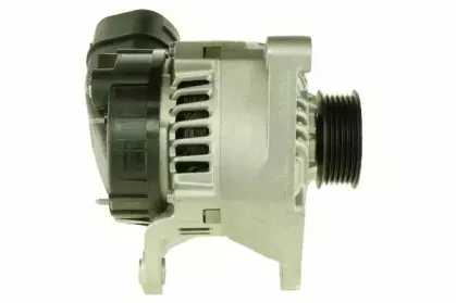 friesen-9042161