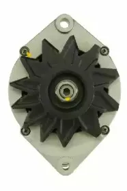 friesen-9044280