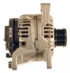 friesen-9044540