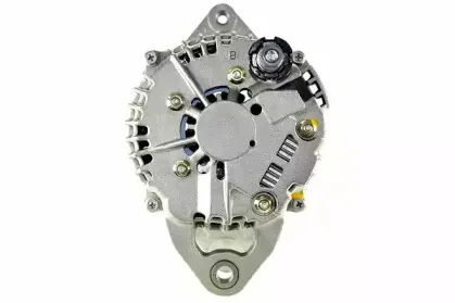 friesen-9045491