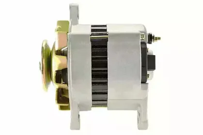 friesen-9051100