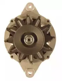 friesen-9051101