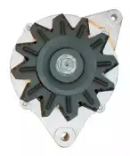 friesen-9051107
