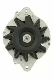 friesen-9051127