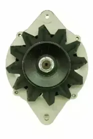 friesen-9051131