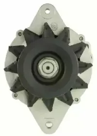 friesen-9051146