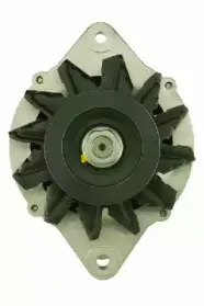friesen-9051159